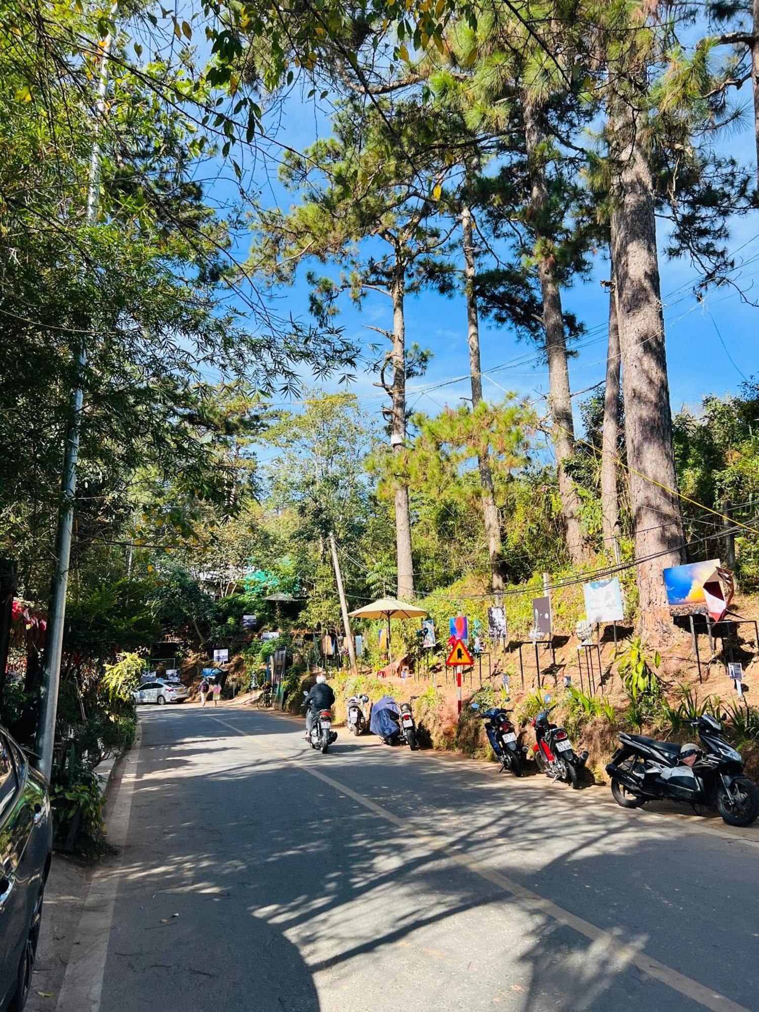 Nature Hotel - Dalat 3 Екстер'єр фото