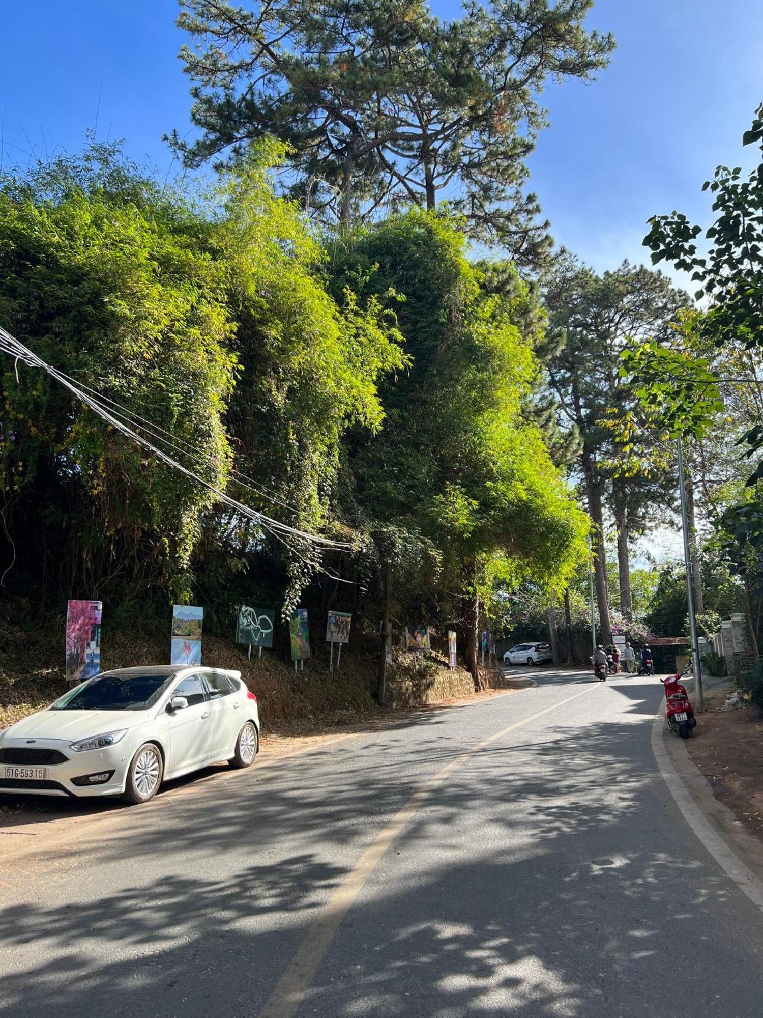 Nature Hotel - Dalat 3 Екстер'єр фото